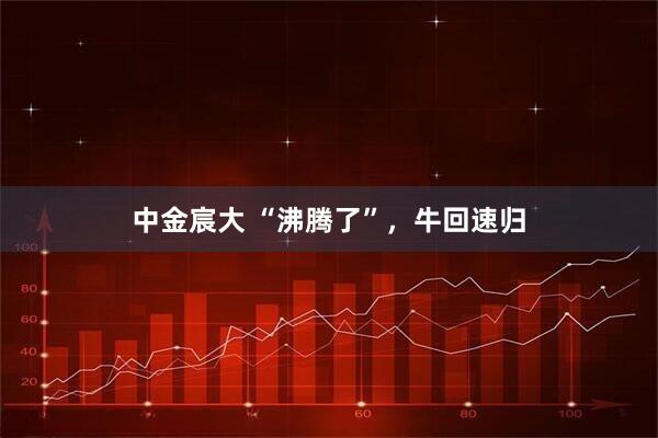 中金宸大 “沸腾了”，牛回速归