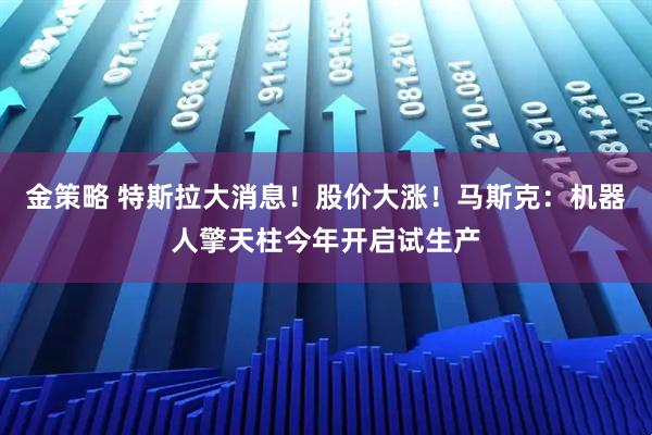 金策略 特斯拉大消息！股价大涨！马斯克：机器人擎天柱今年开启试生产