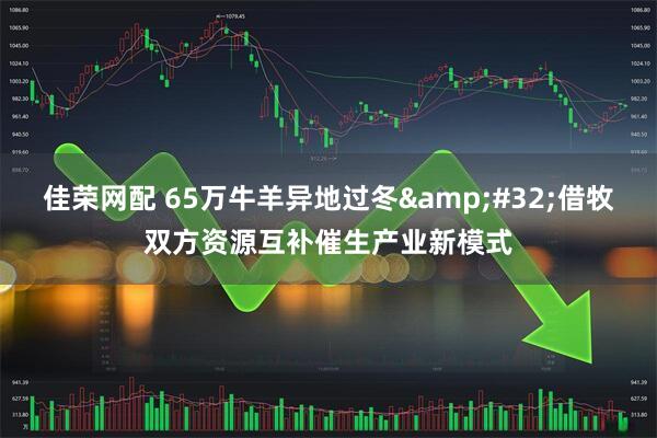 佳荣网配 65万牛羊异地过冬&#32;借牧双方资源互补催生产业新模式