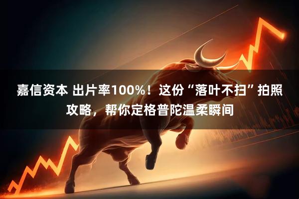 嘉信资本 出片率100%！这份“落叶不扫”拍照攻略，帮你定格普陀温柔瞬间